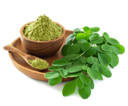 Arunai Super Green Ventures
