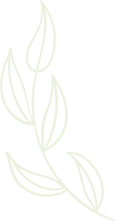 Arunai Super Green Ventures